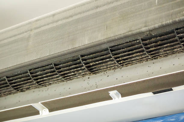 Best HVAC Duct Inspection Services  in Bayonet Point, FL